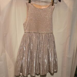 Biscotti Glittery Silver Dress